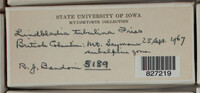 Image Associated With the Occurence